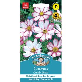 Cosmos Candy Stripe Seeds